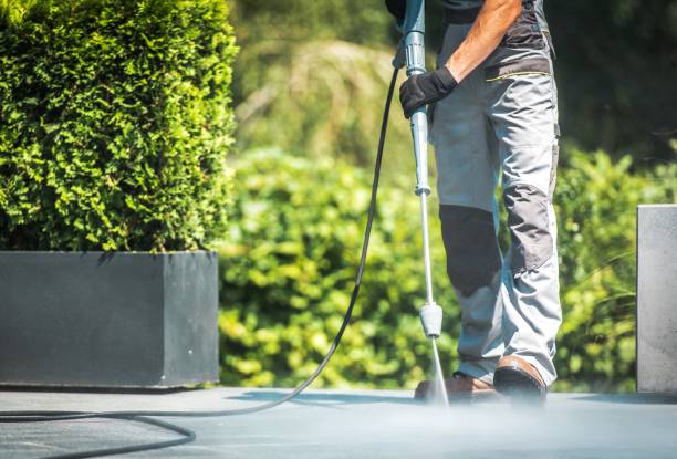 Best Fence Cleaning  in Beach Haven West, NJ