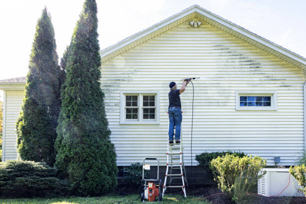Best Solar Panel Cleaning  in Beach Haven West, NJ